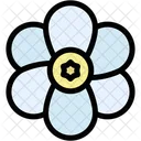 Freesia  Icon