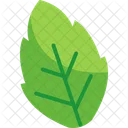 Fresh Mint Leaves  Icon