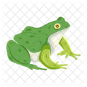 Frog  Icon