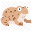 Frog  Icon