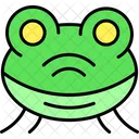 Frog  Icon