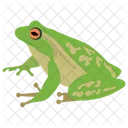 Frosch Tier Chamaleon Symbol