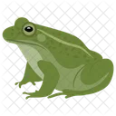 Frosch Tier Chamaleon Symbol