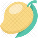 Fruit Juicy Mango Icon