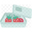 Fruit  Icon