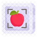 Fruit Scanning Apple Scanning Apple Recognition Icon