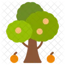 Tree Nature Garden Icon