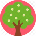 Fruit Tree Apple Botanical Icon