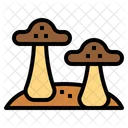 Fungi  Icon