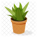 Indoor Plant Ornamental Plant Houseplant Decoration Icon