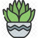 Gasteria Pot  Icon