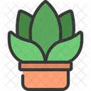 Gasteria Pot  Icon