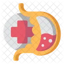 Gastroenterology Digention Stomach Icon