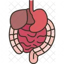 Gastrointestinal Digestion Stomach Icône