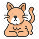 Gato Animal Gatito Icono