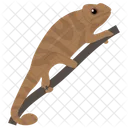 Gekkonidae Reptile Geckos Icon