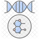 Genetics Dna Gene Icon