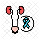 Genitourinary Cancer Genitourinary System Icon