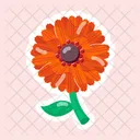 Flower Stickers Blooming Flowers Spring Flowers 아이콘