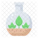 Germination  Icon