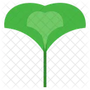 Ginkgo  Icon