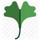 Ginkgo  Icon