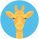 Girafe Camelopard Des Animaux Icône