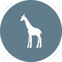 Girafe Des Animaux La Faune Icône