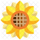 Girasol  Icono