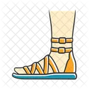 Shoe Footwear Woman Icon