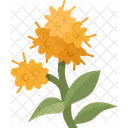 Golden Rod Flower Symbol