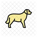 Golden Dog Golden Retriever Icon