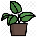 Golden Pothos Plant Nature Icon