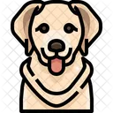 Golden Retriever Dog Puppy Icon