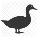 Goose Bird Waterfowl Migratory Symbol