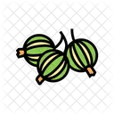 Gooseberry  Icon