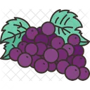 Grape  Icon