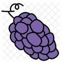 Grape  Icon