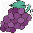 Grape  Icône