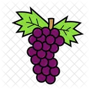 Grape  Icon