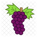 Grape  Icon