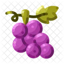 Grape Vine Vineyard Icon