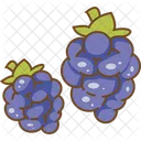 Grapes  Icon