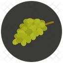 Grapes  Icon