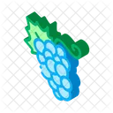 Berry Banana Pear Icon