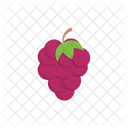 Grapes  Icon