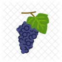 Grapes Icon