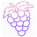 Grapes  Icon