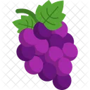 Grapes  Icon