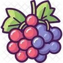 Fruit Vineyard Gems Viticulture Icon